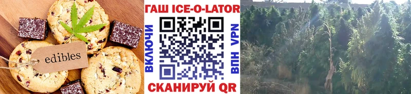 площадка как зайти Княгинино Еда ТГК марихуана