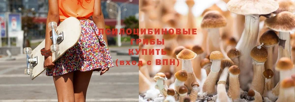 бошки Бородино