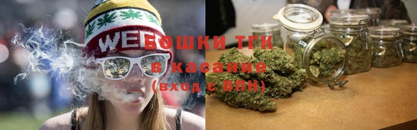 бошки Бородино