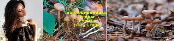 2c-b Бронницы