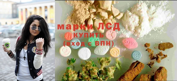 бошки Бородино