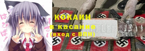 бошки Бородино