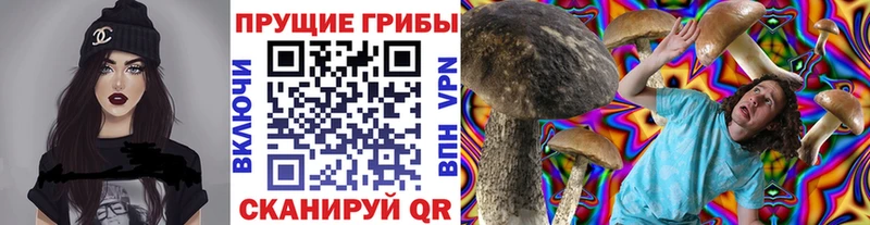 hydra ссылки  Княгинино  Псилоцибиновые грибы мухоморы 